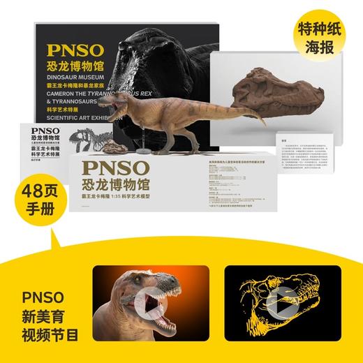 PNSO新版霸王龙卡梅隆附霸王龙头骨恐龙博物馆1:35科学艺术模型 商品图1