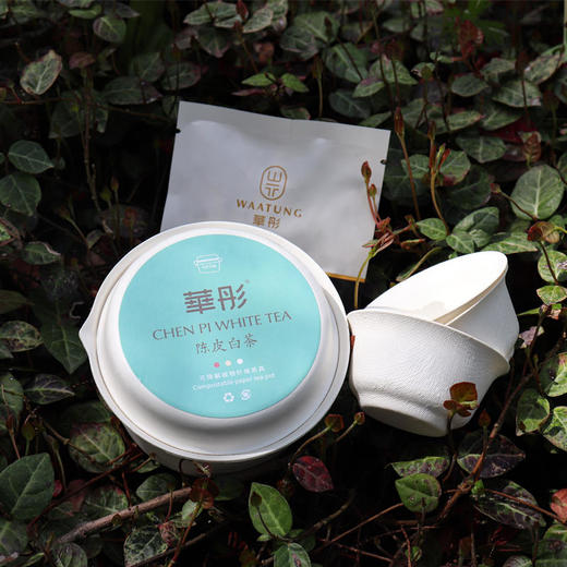 【直送到家】陈皮白茶随泡盒 商品图1