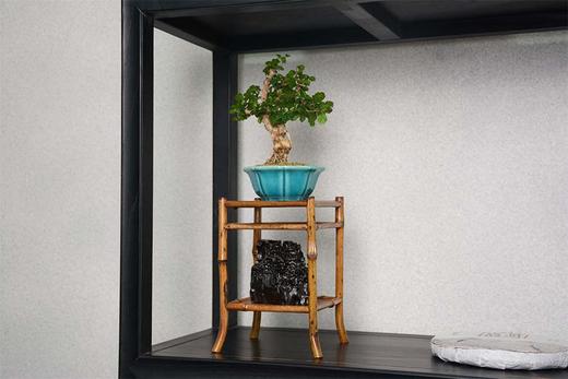 冬福双层花架 商品图6