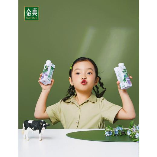 伊利金典有机A2β酪蛋白纯牛奶250ml*10 商品图2