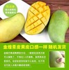 海南金煌芒8斤礼盒装【分仓直发，72小时发货，周末节假日不发货】 商品缩略图4