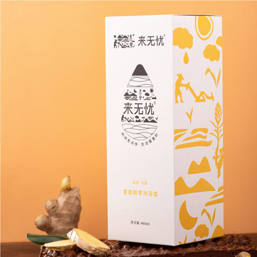 姜蓉精粹沐浴露480/ml/瓶 商品图2