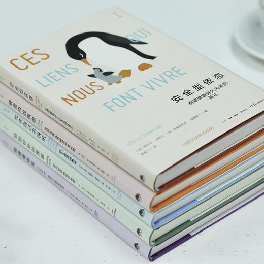 知心书五辑：安全型依恋+被傲慢绑架+被虚构的焦虑+恰到好处的界限 商品图4