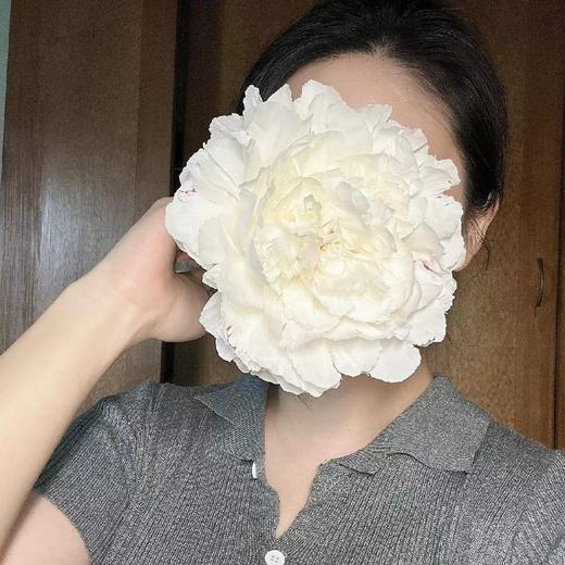 精品杨妃出浴芍药5支 商品图6