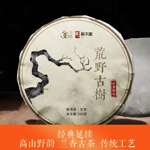 【2023联名定制】普洱生茶 2023荒野古树 200g 商品图0