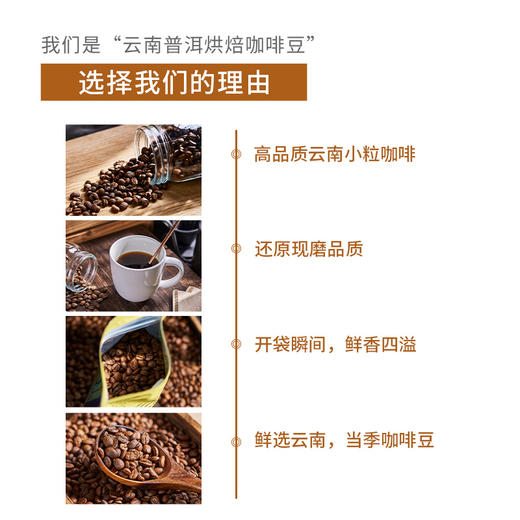 善品公社·云南普洱烘焙咖啡豆 | 高品质云南小粒咖啡 新鲜烘焙 商品图1