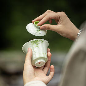 墨己丨小苍翠手绘竹子盖碗