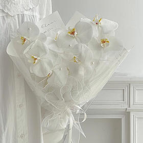 《纯净》蝴蝶兰花束