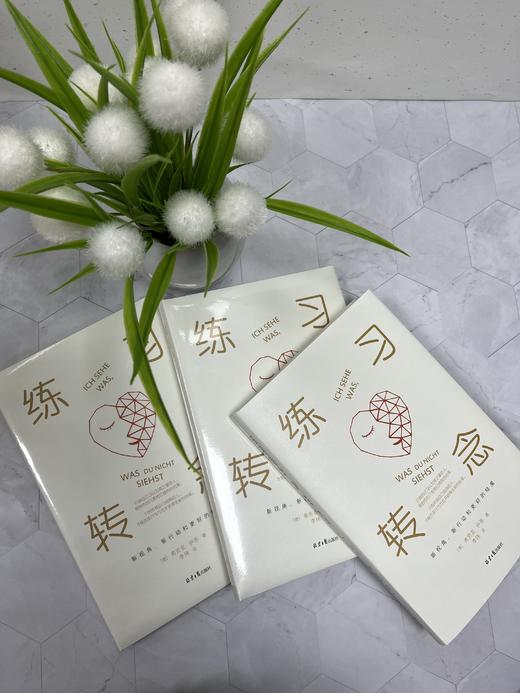 练习转念    【德】弗劳克·伊恩 商品图6