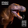 PNSO新版霸王龙卡梅隆附霸王龙头骨恐龙博物馆1:35科学艺术模型 商品缩略图3