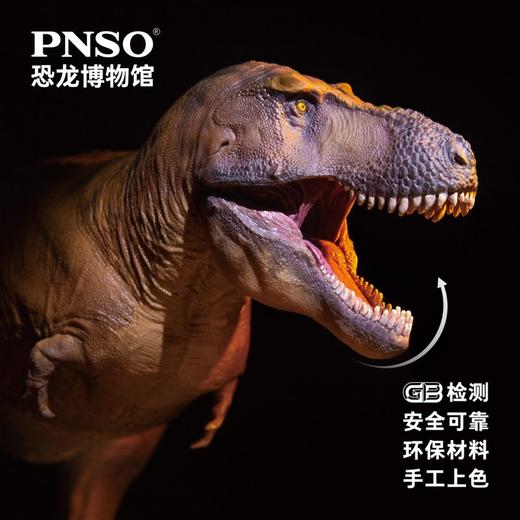 PNSO新版霸王龙卡梅隆附霸王龙头骨恐龙博物馆1:35科学艺术模型 商品图3