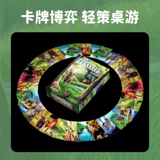 【上新】一刻馆 《生态系统》布局生态策划规范益智桌游 商品图1
