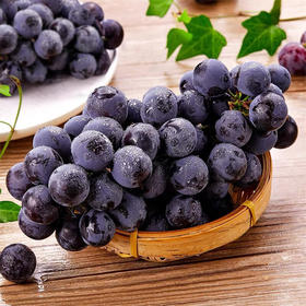 新鲜水果 蓝莓葡萄净重2.5斤左右/筐