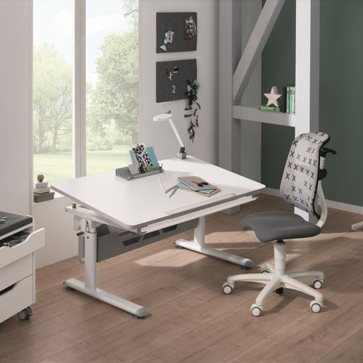 德国原装进口Paidi儿童学习桌椅 伴读凳 通过欧洲最严苛的认证 可调节倾斜角度 高度可升降 |百里居 商品图11