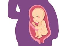 民俗│民间常说的胎神是什么？