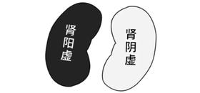 肾阳虚、肾阴虚傻傻分不清？教您轻松分辨！
