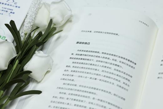 内疚清理练习    【丹】伊尔斯·桑德 商品图4