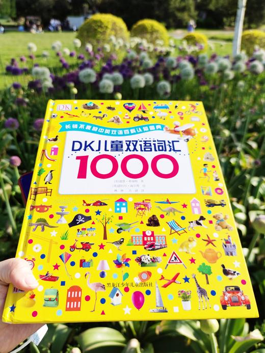 DK儿童双语词汇1000    道恩·希瑞特 商品图4