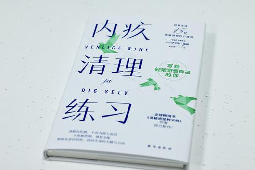 内疚清理练习    【丹】伊尔斯·桑德 商品图2