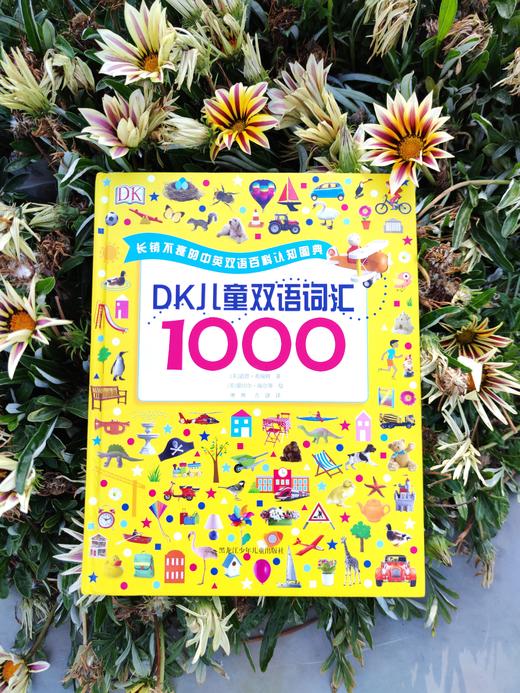 DK儿童双语词汇1000    道恩·希瑞特 商品图3