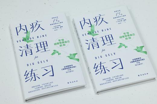 内疚清理练习    【丹】伊尔斯·桑德 商品图1