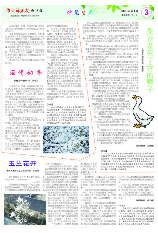 《作文评点报》2023年上半年初中版合订本 商品图3