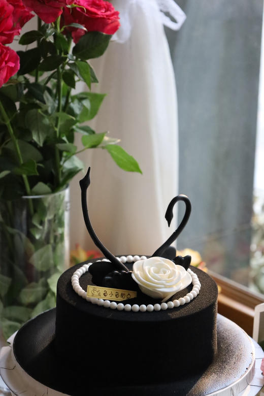 邂逅黑天鹅 商品图0