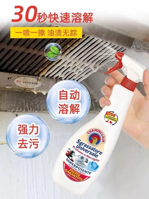 大公鸡管家多功能油污净(红色马赛) 600ml 商品图2