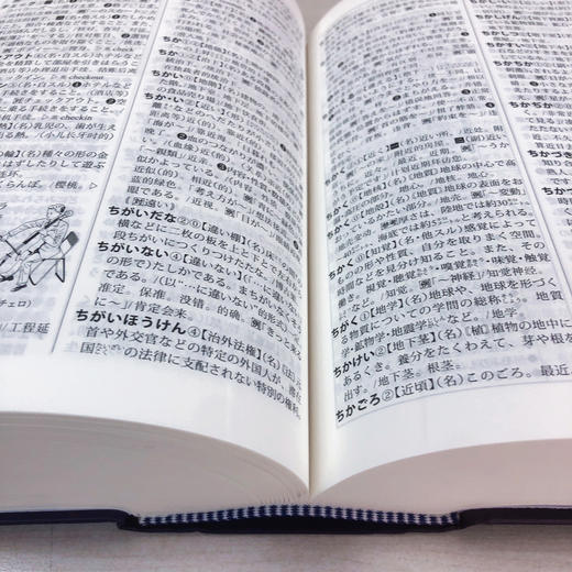 外研社日汉双解学习词典(第二版) 商品图4