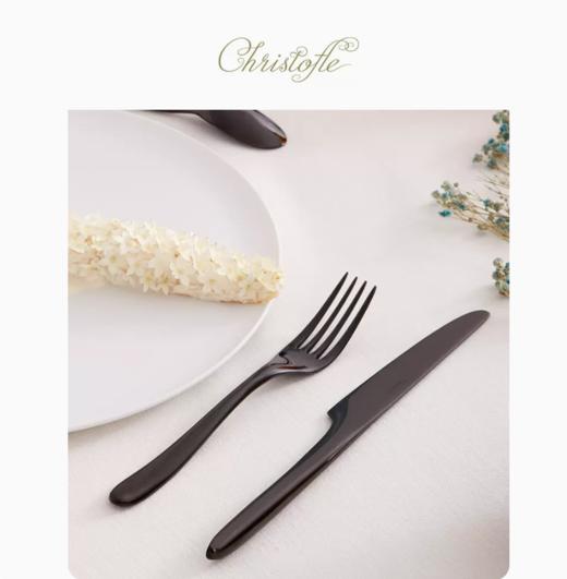 CHRISTOFLE昆庭 L'Ame灵魂乐章正餐刀叉勺餐具套装不锈钢精致 商品图1