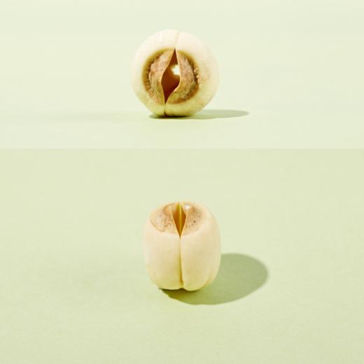 建宁通心白莲，去芯莲子120g*2瓶包邮组合装 商品图4