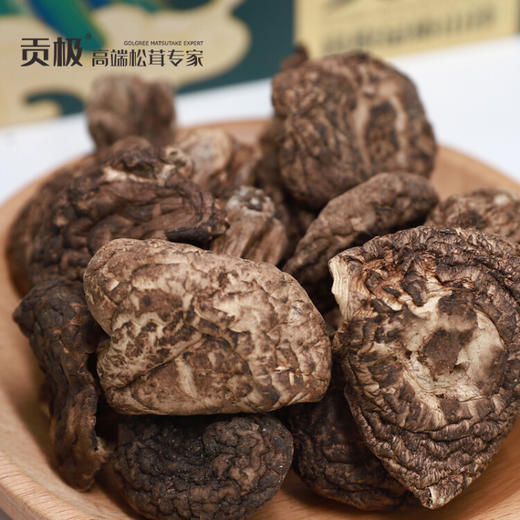 贡极 黑虎掌菌干货礼盒高原山珍菌菇 虎掌菌 商品图2