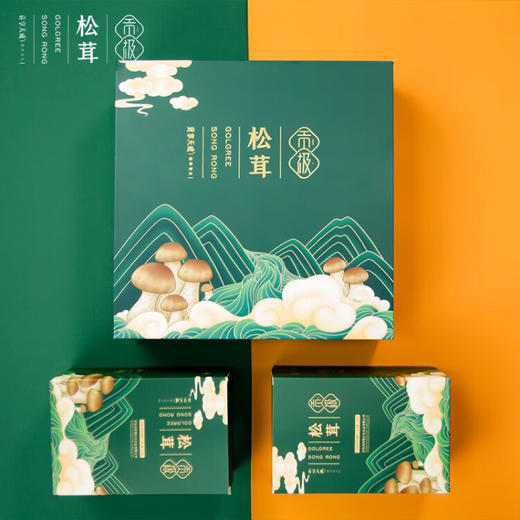 贡极 心止松茸干货礼盒未开伞雅江松茸菌菇 心止礼盒60g 商品图4