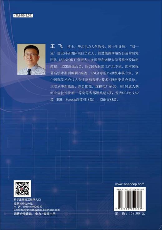 [按需印刷]新能源发电功率预测/王飞 商品图1