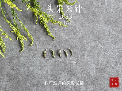 2023头采米针，春白茶“鲜度”的代表之作，极清新、极空灵、也极诱人！ 商品图3
