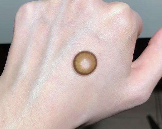 Toastnomi旗下 ·大金块｜14.2mm白狮参考着色中等直径 日抛 商品图1