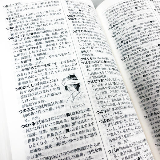 外研社日汉双解学习词典(第二版) 商品图5