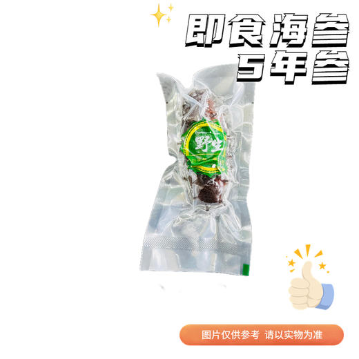 【冻品】鲜食精选辽参 5年参 硬口冷蒸参　（满10只送1只） 商品图0