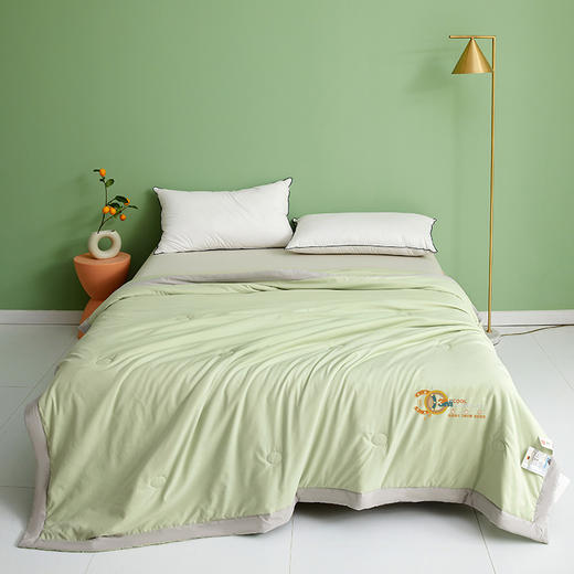 【凉而不冰 恰到好处】小凉皮蚕蛹蛋白夏凉被  凉感科技 一触即凉 排湿透气 商品图3