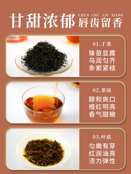 湖畔居西湖红茶双罐正宗特级西湖红杭州特产龙井所制工夫红茶叶 商品图3