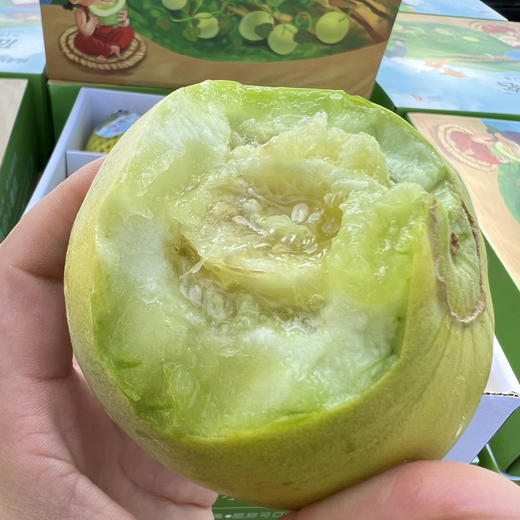 马连庄甜瓜 商品图4