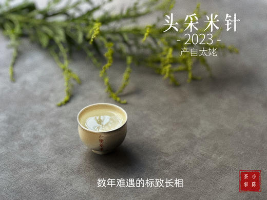 2023头采米针，春白茶“鲜度”的代表之作，极清新、极空灵、也极诱人！ 商品图11