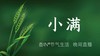 节气生活 小满晚直播 商品缩略图0