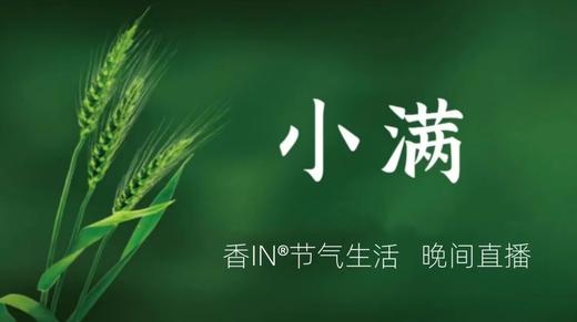 节气生活 小满晚直播 商品图0