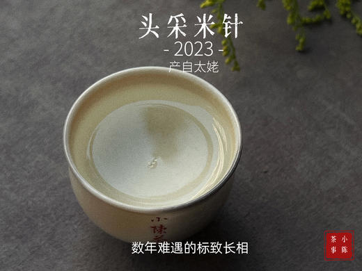 2023头采米针，春白茶“鲜度”的代表之作，极清新、极空灵、也极诱人！ 商品图13