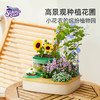 科学罐头—植物种植课套装 商品缩略图1