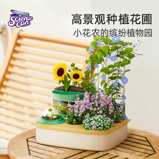 科学罐头—植物种植课套装 商品图1