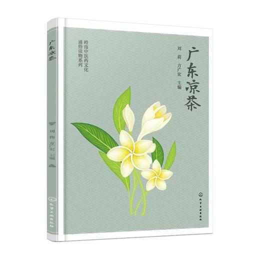 广东凉茶 商品图0