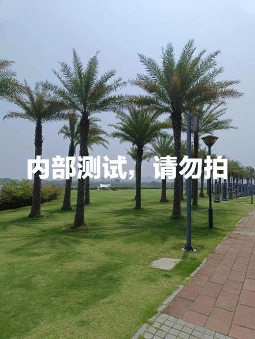 测试商品，请勿拍 商品图0