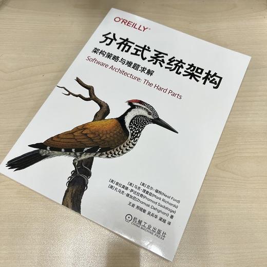 分布式系统架构 架构策略与难题求解 商品图4